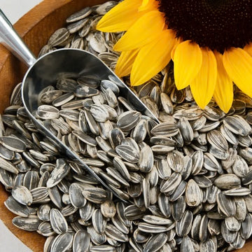 Mewaat | Sun Flower Seeds |  Suraj Mukhi